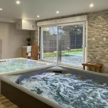 Prive Avec Espace Detente De Nage, Spa, Hammam, Sauna
